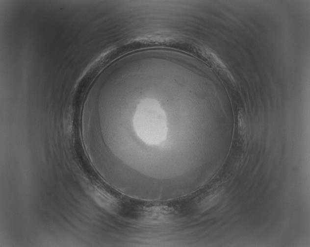 X0000084020396200702232237