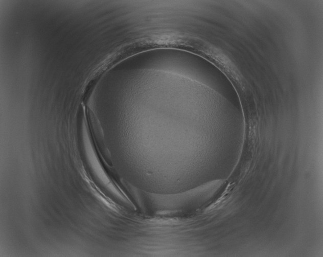 X0000084020397200702232237