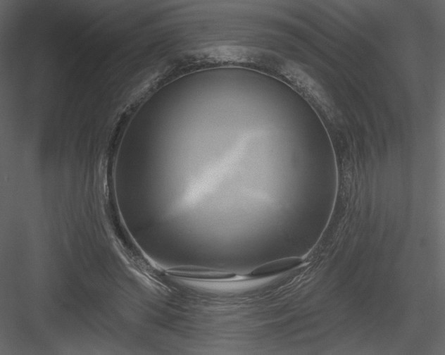 X0000084020398200702232237