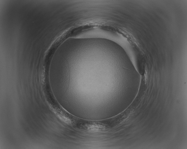 X0000084020400200702232237