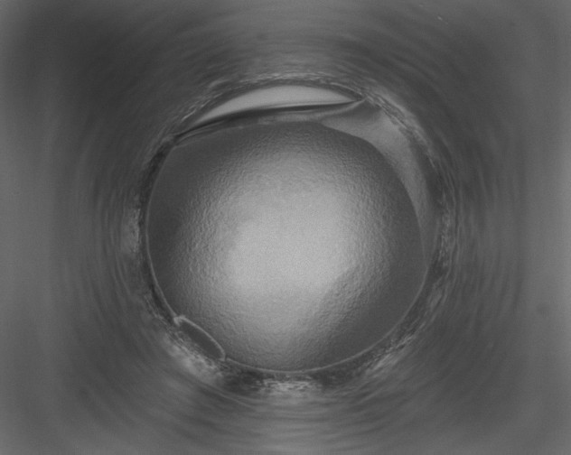 X0000084020401200702232237