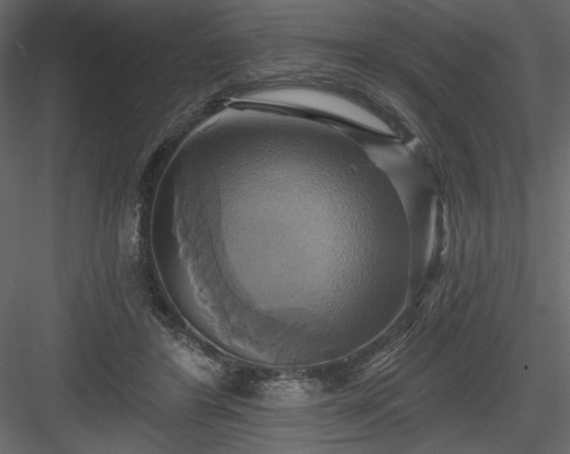 X0000084020404200702232237