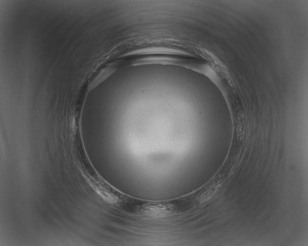 X0000084020405200702232237