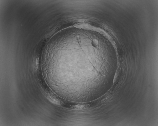 X0000084020406200702232237