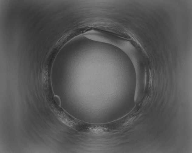 X0000084020407200702232237