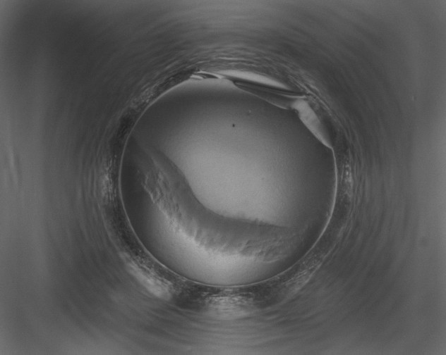 X0000084020408200702232237