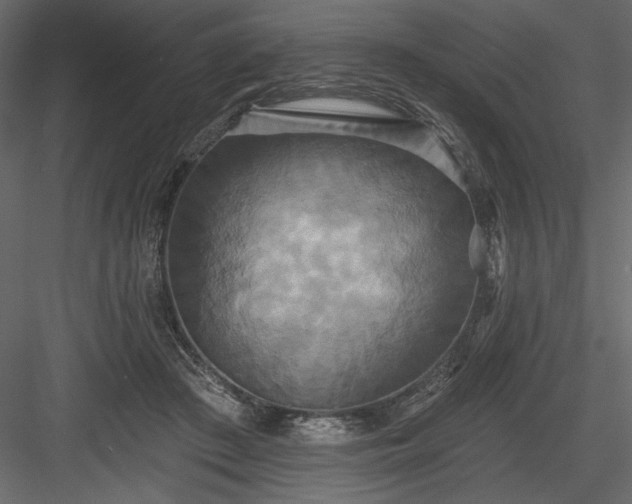 X0000084020409200702232237