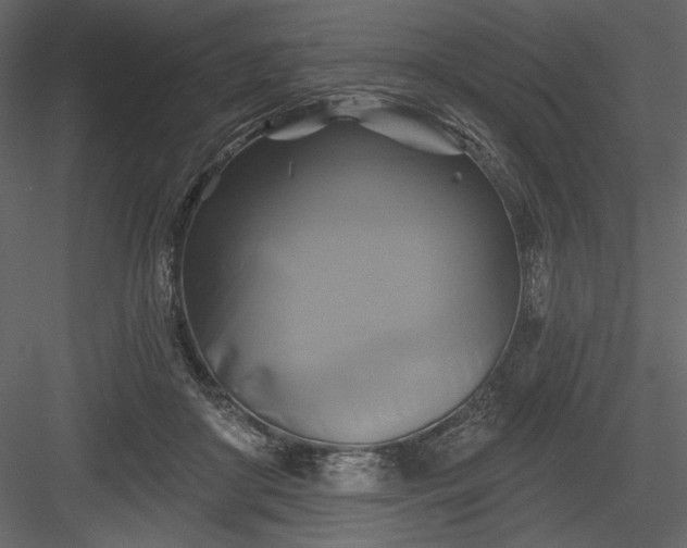 X0000084020410200702232237