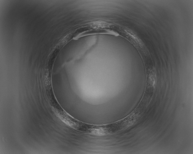 X0000084020411200702232237