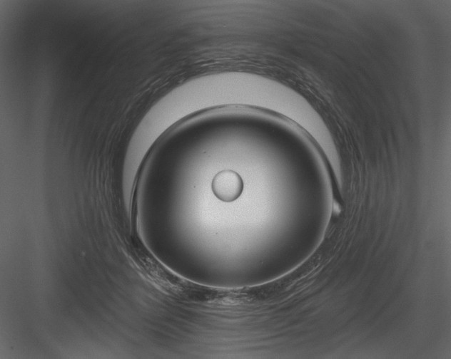 X0000084020412200702232237