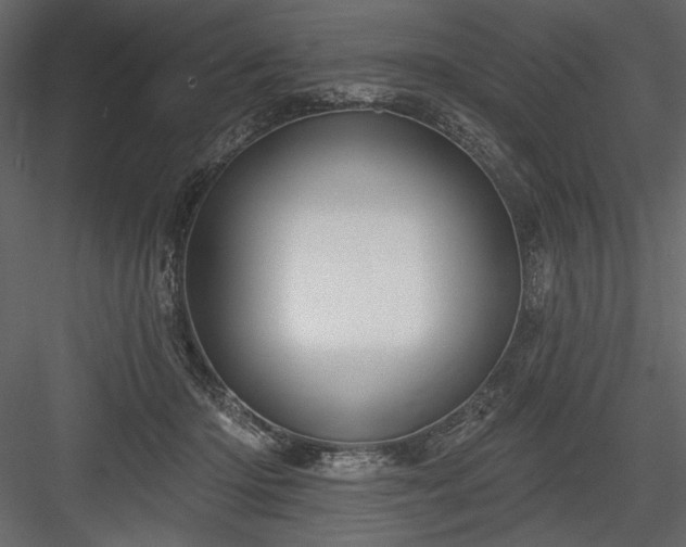 X0000084020414200702232237