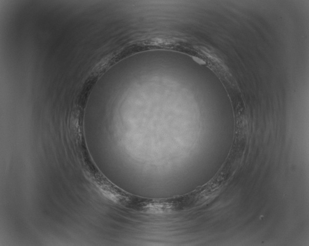 X0000084020415200702232237