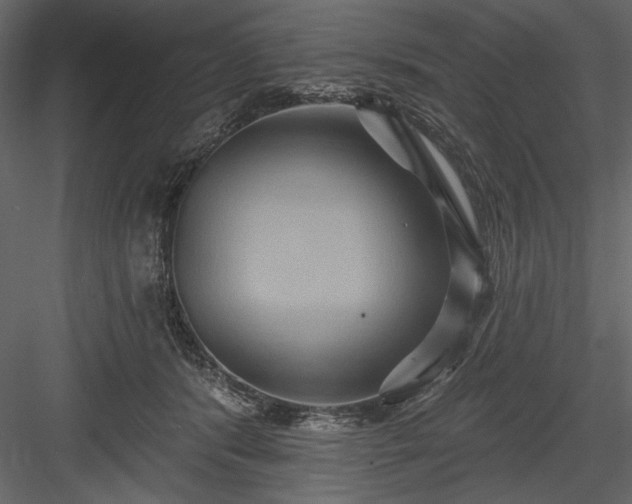 X0000084020416200702232237