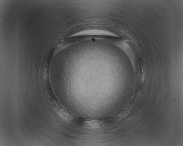 X0000084020417200702232237