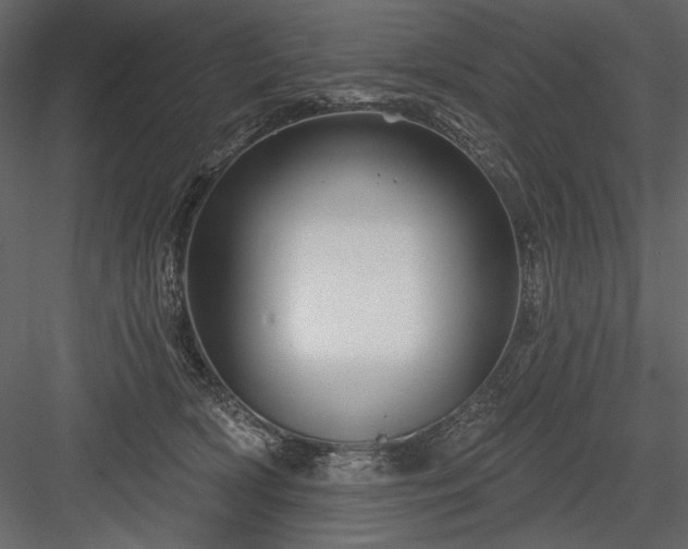 X0000084020418200702232237