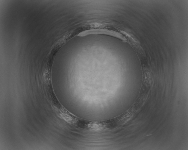 X0000084020419200702232237