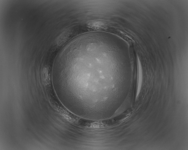 X0000084020420200702232237