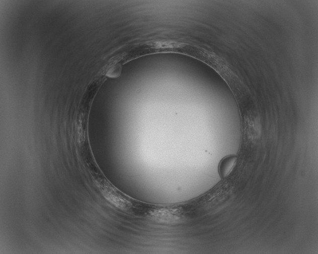 X0000084020422200702232237