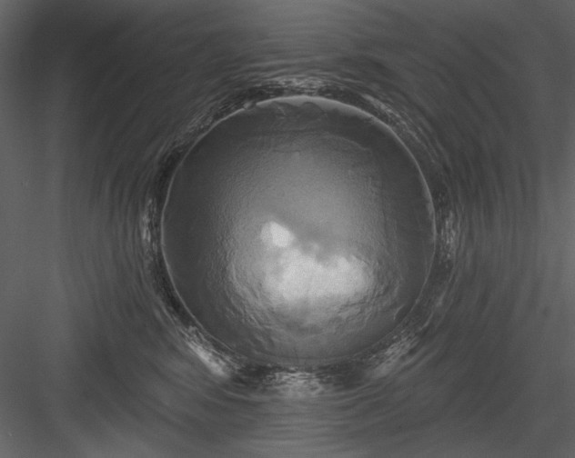 X0000084020424200702232237