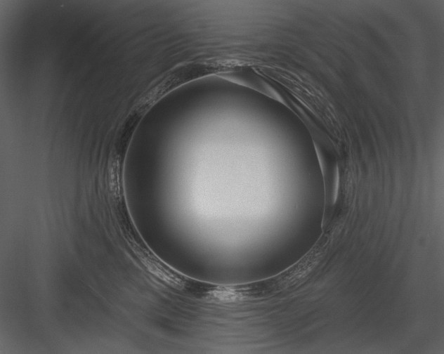 X0000084020425200702232237