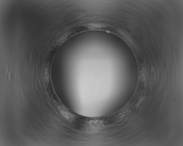 X0000084020426200702232237