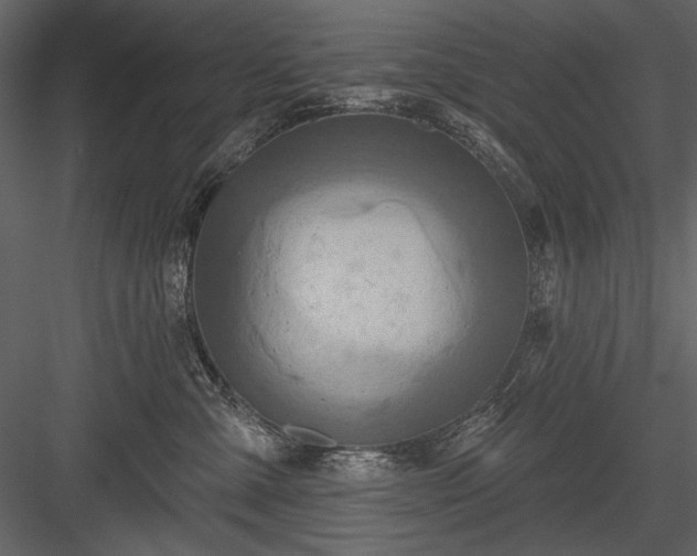 X0000084020427200702232237