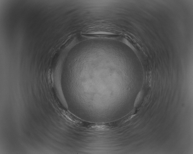 X0000084020428200702232237