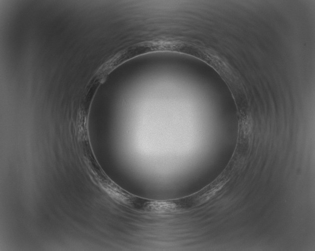 X0000084020429200702232237