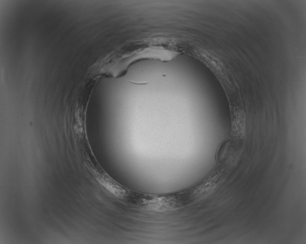 X0000084020430200702232237