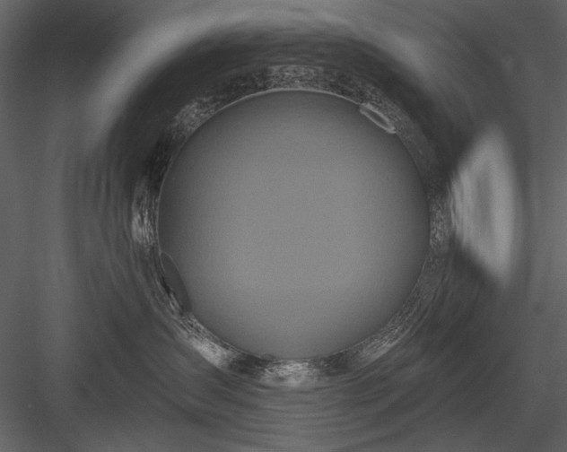 X0000084020431200702232237