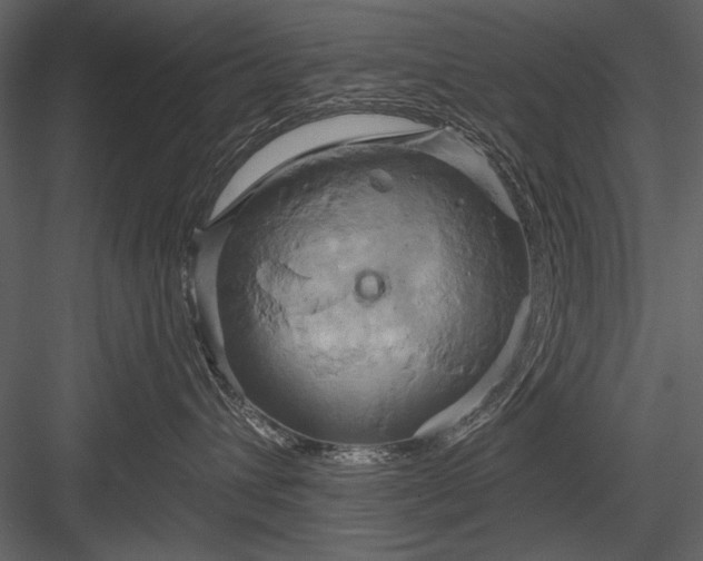 X0000084020432200702232237