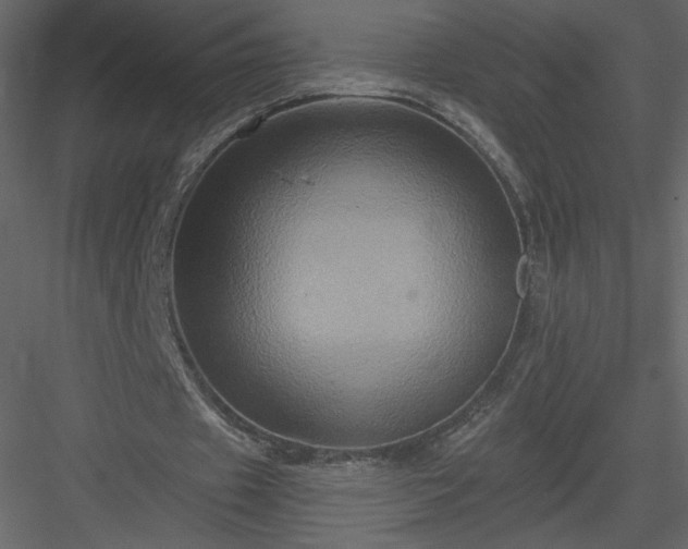 X0000084020433200702232236