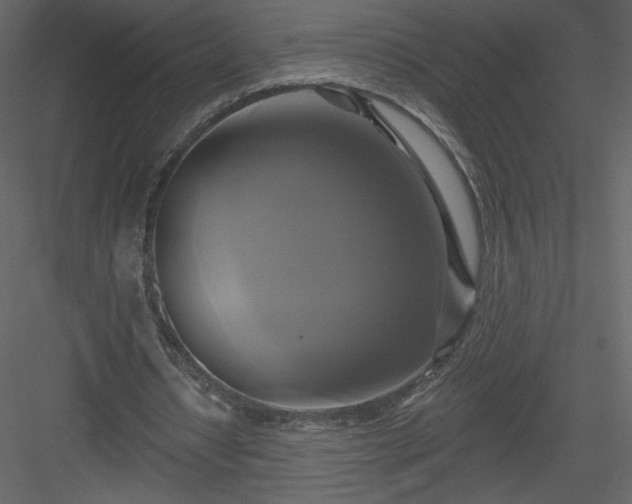 X0000084020434200702232236