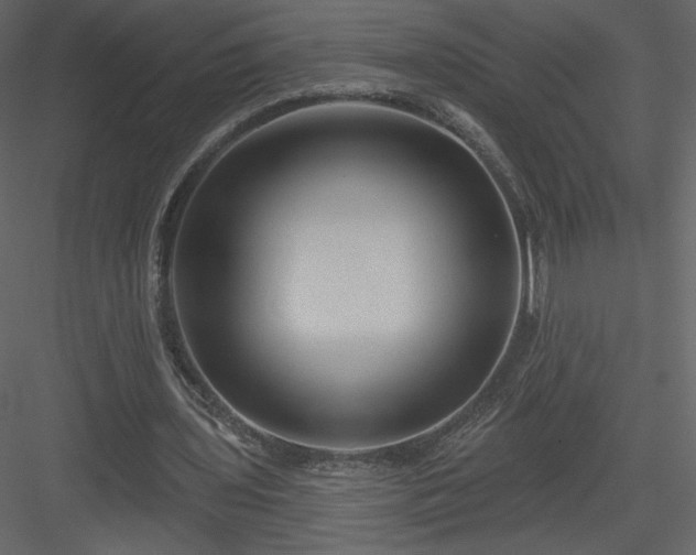 X0000084020435200702232236