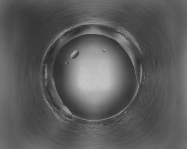 X0000084020436200702232236