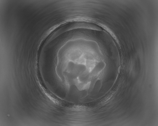 X0000084020437200702232236