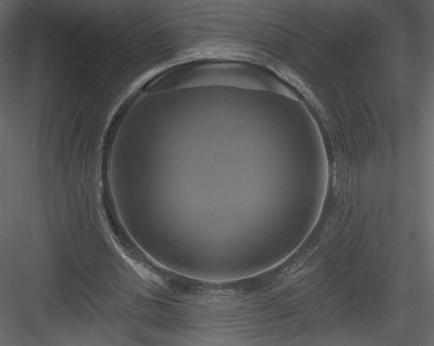 X0000084020438200702232236