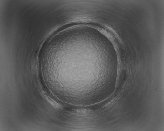 X0000084020439200702232236