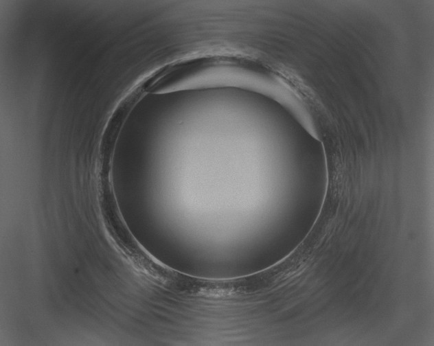 X0000084020440200702232236