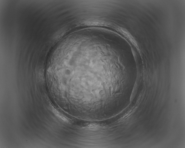 X0000084020441200702232236