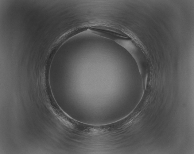 X0000084020442200702232236