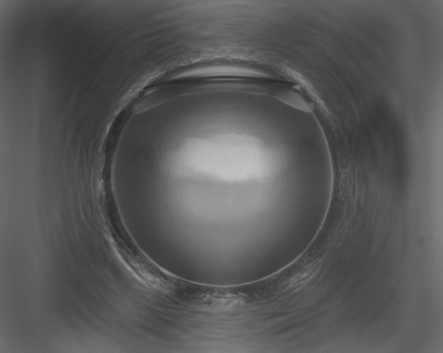 X0000084020443200702232236