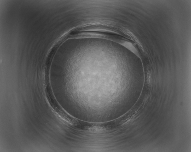 X0000084020444200702232236