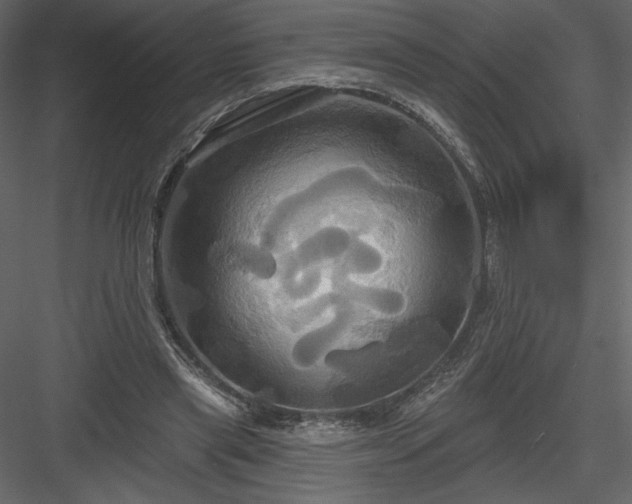 X0000084020445200702232236