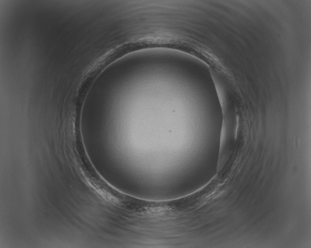 X0000084020446200702232236