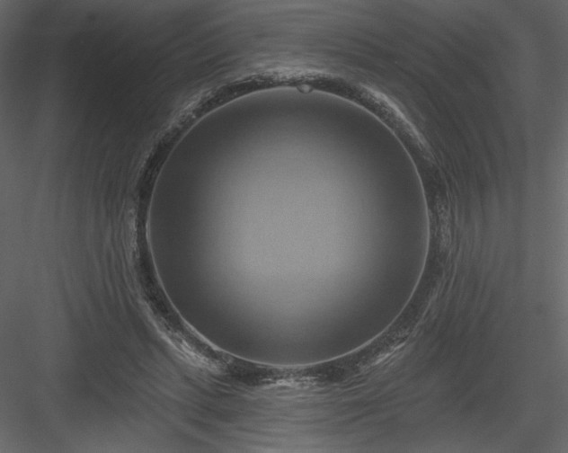 X0000084020447200702232236