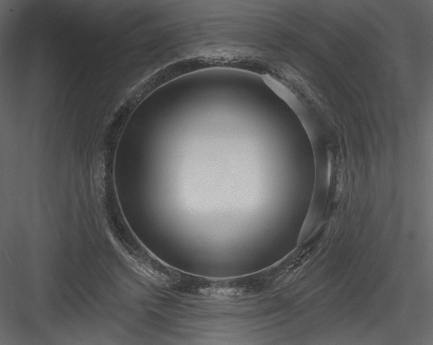 X0000084020448200702232236