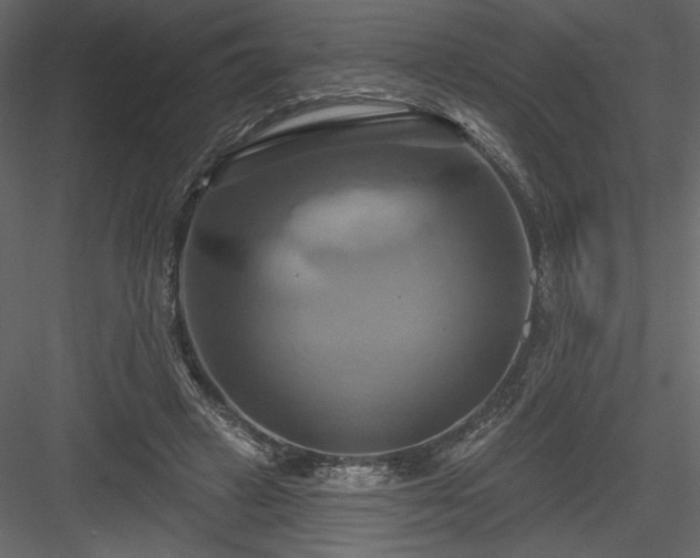 X0000084020449200702232236