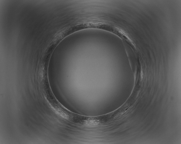 X0000084020451200702232236