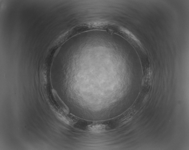 X0000084020452200702232236